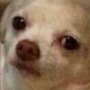 Meet your Posher, Alexa